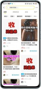 闲鱼挂机单号3元/天,每天仅需2分钟,可无限放大,稳定长久挂机项目-流年日记
