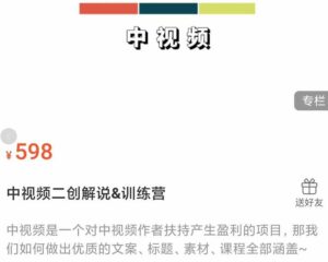 原价598元的中视频二创解说训练营:从0到精通文案+标题+素材、月入5000到5W-流年日记