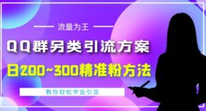 QQ群另类引流方案,日200~300精准粉方法,外面收费888-流年日记