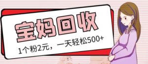 【高端精品】最新小红书母婴号宝妈粉回收项目,1个粉2元,一天轻松500+【粉丝包回收+一条龙服务】-流年日记