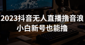 2023最新抖音无人直播撸音浪项目,0粉丝每天1小时,一个号一天1500-2000元-流年日记