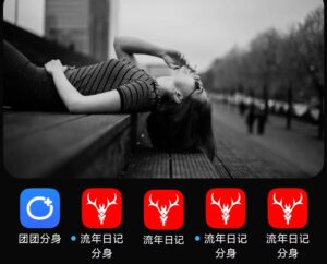 安卓多开分身——团团分身-流年日记