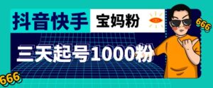 2023抖音快手三天起号涨粉1000宝妈粉丝的核心方法【详细玩法教程】-流年日记