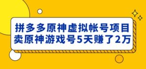 2023外面卖2980的拼多多原神虚拟帐号项目:卖原神游戏号5天赚了2万-流年日记
