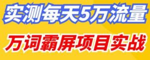 2023百度万词霸屏实操项目引流课，30天霸屏10万关键词项目实战-流年日记