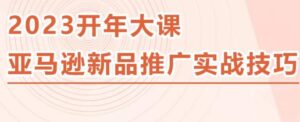 2023亚马逊新品推广实战技巧,线下百万美金课程的精简版,简单粗暴可复制,实操性强的推广手段项目-流年日记