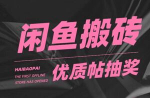 2023闲鱼优质帖搬砖,单号一天赚个二三十没问题,多号多撸大平台稳定项目-流年日记