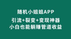【流年实操完美方案】随机小姐姐引流+裂变+变现三合一躺赚神器！不买服务器域名也能做了！-流年日记