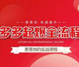 互力-多多新品打爆全流程,2023拼多多14天拉搜索自然流量,更落地·快速提升-流年日记