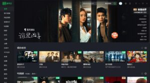 PC爱奇艺v10.2.0.6681绿色版-流年日记