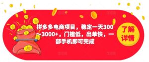 2023拼多多电商项目,稳定一天300~3000+,门槛低,出单快,一部手机即可完成2980价值教程-流年日记