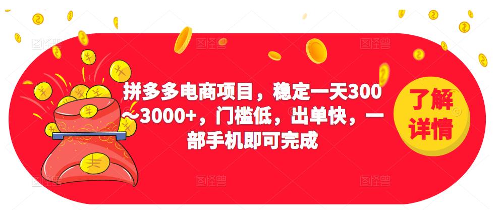 2023拼多多电商项目，稳定一天300～3000+，门槛低，出单快，一部手机即可完成2980价值教程-流年日记