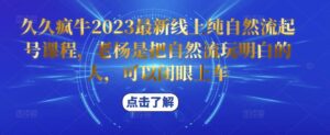 2023久久疯牛2023最新线上纯自然流起号课程,老杨是把自然流玩明白的人,可以闭眼上车-流年日记