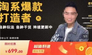 2023锋投老叶全店动销,淘系干货汇总,各种玩法,淘系爆款打造者699课程-流年日记