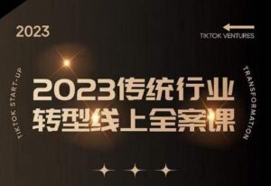 数据哥2023传统行业转型线上全案课,2023年传统行业如何转型线上,线上创业/传统转型避坑宝典视频教程-流年日记
