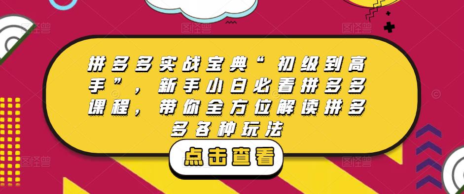 拼多多实战宝典“初级到高手”，2023新手小白必看拼多多课程，带你全方位解读拼多多各种玩法-流年日记