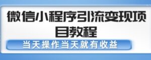 2023微信小程序引流变现项目教程,当天操作当天就有收益,变现不再是难事正规长久-流年日记