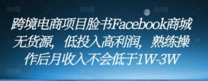 2023跨境电商项目脸书Facebook商城无货源,低投入高利润,熟练操作后月收入不会低于1W-3W-流年日记