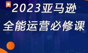 2023亚马逊全能运营必修课,全面认识亚马逊平台+精品化选品+CPC广告的极致打法课程-流年日记