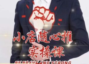 随心推线上课，2023小店随心推的投放逻辑，投放技巧，快速打标签视频教程-流年日记