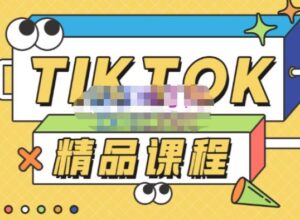 电商孵化中心·TikTok精品课程4580元，2023教你玩转海外抖音，低成本创业，带您从0开始玩转TikTok-流年日记