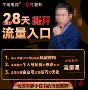 2023牛哥电商红薯邦28天撕开小红书流量入口，小红书运营系列课，快速掌握小红书的流量密码-流年日记