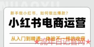 2023红商学院·小红书电商运营课,新手做小红书如何快速做出爆款,从入门到精通,体验不一样的收货-流年日记