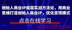 2023创始人商业IP底层实战方法论，用商业思维打造创始人商业IP，优化变现模式创业课程-流年日记