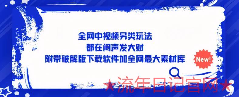 2023全网中视频另类玩法，都在闷声发大财，附带破解版下载软件加全网最大素材库-流年日记