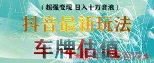 2023抖音最新无人直播变现直播车牌估值玩法项目，轻松日入几百+【详细玩法教程】-流年日记