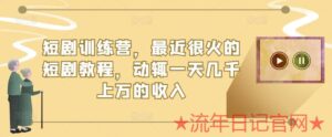 2023短剧训练营,最近很火的短剧教程全流程解析,动辄一天几千上万的收入创业项目-流年日记
