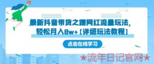 2023最新抖音带货之蹭网红流量玩法,轻松月入8w+详细玩法视频教程-流年日记