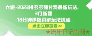 大炮·2023拼多多强付费最新玩法,3月新课78分钟详细讲解玩法流程-流年日记