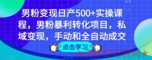 2023男粉变现日产500+实操课程,男粉暴利转化项目,私域变现,手动和全自动成交项目-流年日记