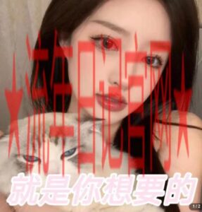 2023微信交友变现项目,吸引全网LSP男粉精准变现,小白也能轻松上手,日入500+-流年日记