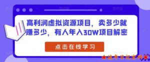 2023高利润虚拟资源项目,卖多少就赚多少,有人年入30W项目解密分享视频教程-流年日记