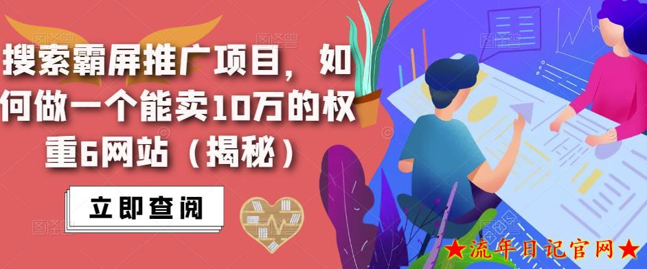 2023搜索霸屏推广项目，如何做一个能卖10万的权重6网站（揭秘）全平台长期项目-流年日记