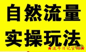 2023拼多多自然流量天花板,拼多多自然流的实操玩法,自然流量是怎么来的,如何开车带来自然流等知识课程-流年日记
