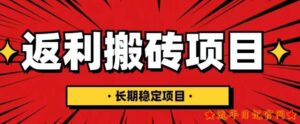 2023国外返利网项目,返利搬砖长期稳定,月入3000刀深度解剖-流年日记