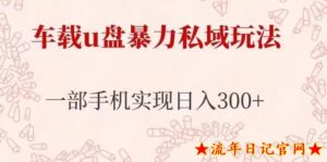 2023车载u盘暴力私域玩法,长期项目,仅需一部手机实现日入300+-流年日记