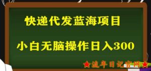 2023最新蓝海快递代发项目,小白零成本照抄也能日入300+-流年日记