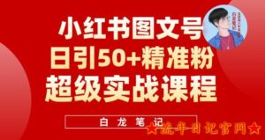 2023小红书图文号日引50+精准流量,超级实战的小红书引流课,非常适合新手【揭秘】-流年日记