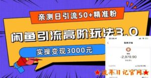 2023亲测日引50+精准粉,闲鱼引流高阶玩法3.0,实操变现3000元【揭秘】-流年日记