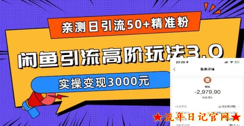 2023亲测日引50+精准粉，闲鱼引流高阶玩法3.0，实操变现3000元【揭秘】-流年日记