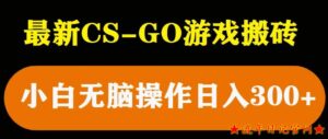 2023最新csgo游戏搬砖游戏，无需挂机小白无脑也能日入300+-流年日记