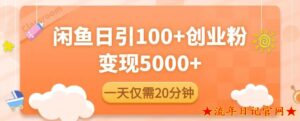 2023闲鱼引流精准创业粉,每天20分钟,日引流100+,变现5000+-流年日记