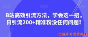B站高效引流方法,2023学会这一招,日引流200+精准粉没任何问题【揭秘】-流年日记