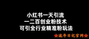2023小红书一天引流一二百创业粉技术,可引全行业精准粉玩法【仅揭秘】-流年日记