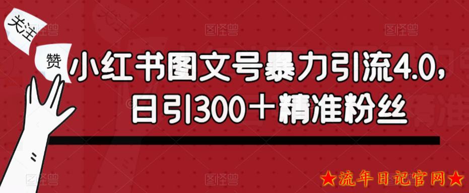 2023小红书图文号暴力引流4.0，日引300＋精准粉丝【揭秘】-流年日记