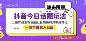 2023抖音今日话题玩法,1条作品涨粉5000,私域高利润单品转化一部手机日入500【揭秘】-流年日记